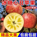 包邮 四川大凉山盐源冰糖心丑苹果新鲜当季 红富士现摘四川直发整箱