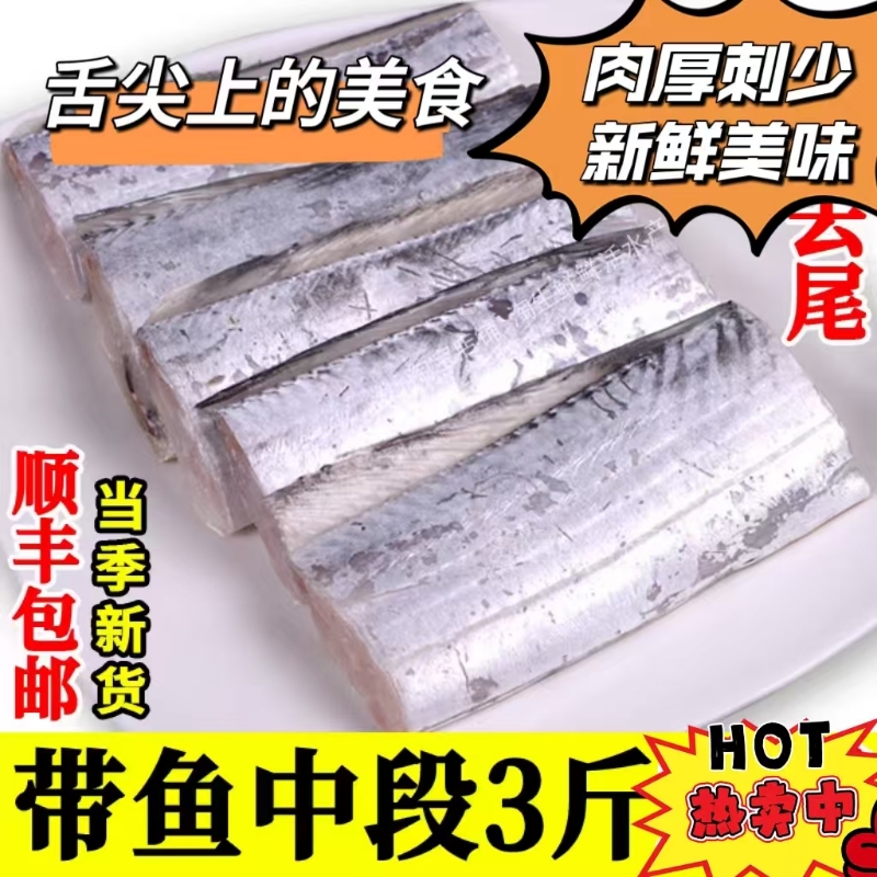 东海特大段野生带鱼段