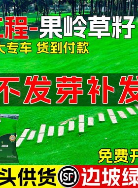 果岭草草籽四季常青低矮免修剪耐寒耐旱庭院别墅公园绿化草坪种子