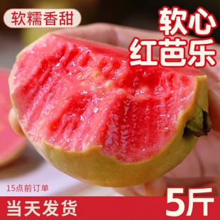 广西芭乐红心水果新鲜包邮香甜软糯番石榴孕妇当季整箱脆甜水果