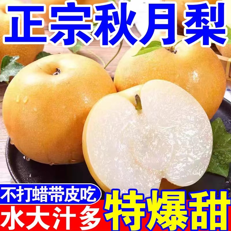 正宗秋月梨新鲜冰糖梨子当季水果生梨现摘现发整箱非礼盒包邮甜