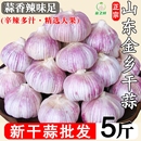 金乡紫皮大蒜大蒜头干蒜特大果批发紫白皮新鲜当季 自提种植上门