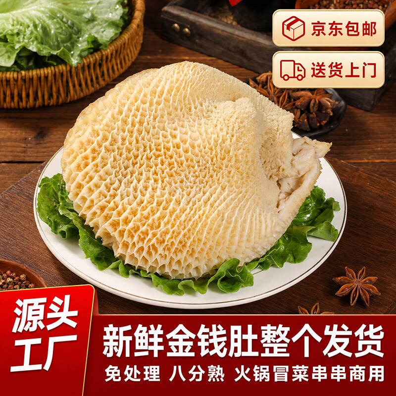 新鲜牛肚金钱肚牛商用批发半成品串串蜂窝毛肚整源头火锅爆炒牛肚