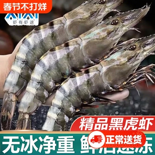 特大黑虎虾鲜活速冻超大新鲜越南青虾冷冻海虾海虾类海鲜水产白虾