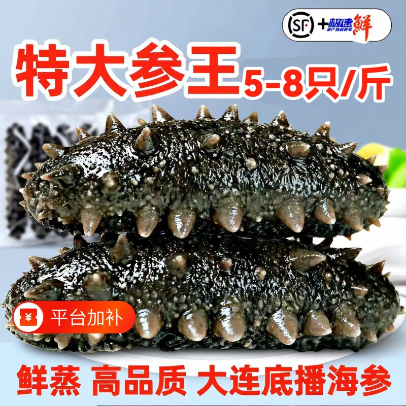 鲜蒸即食海参大连地标认证海生辽参刺参特价装非干货水产冷冻滋补