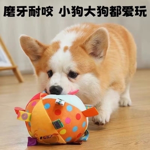 狗狗发声玩具球弹力球毛绒宠物泰迪博美比熊耐咬磨牙神器互动小猪