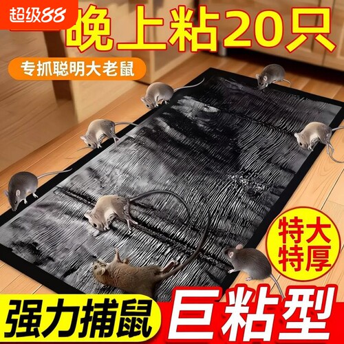 【千人回购】超大粘性粘鼠贴