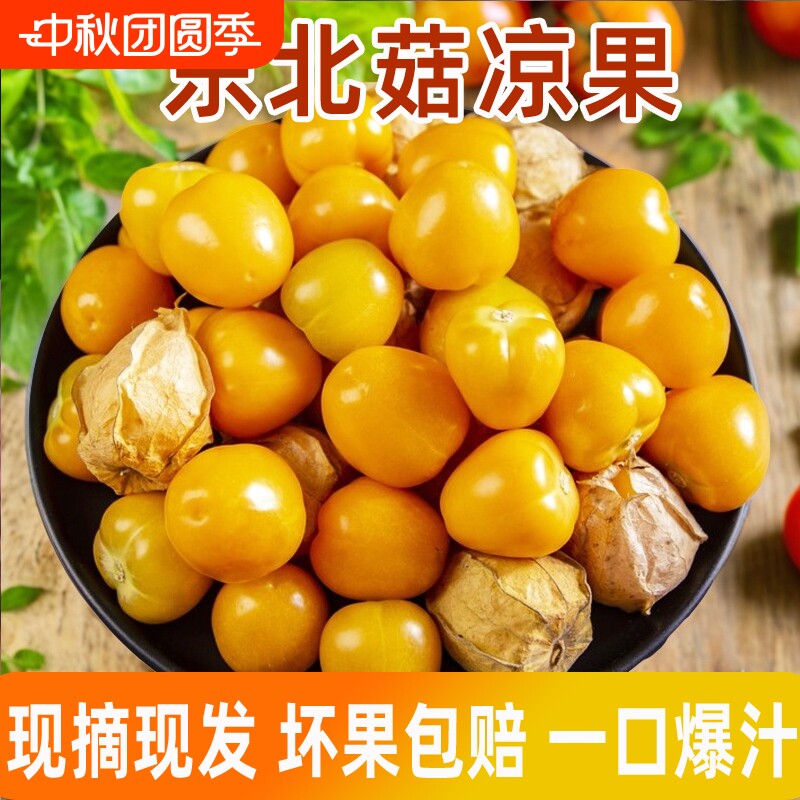 正宗东北姑娘果当季新鲜水果灯笼果产地直发箱装黄姑鸟小金豆薄皮										