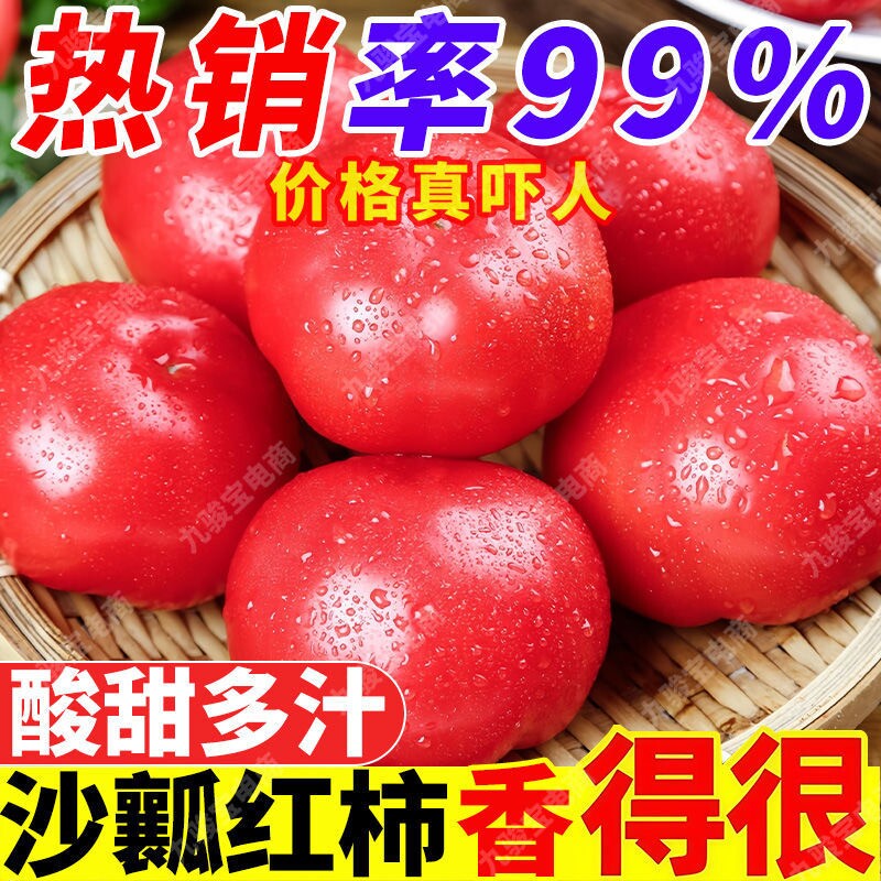 普罗旺斯西红柿新鲜自然熟四川5斤生吃水果山东番茄当季生鲜时令