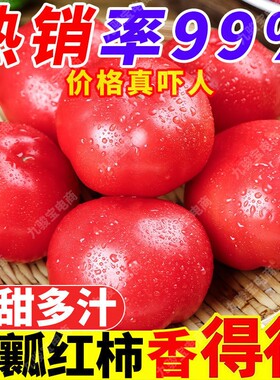 正宗自然熟普罗旺斯西红柿
