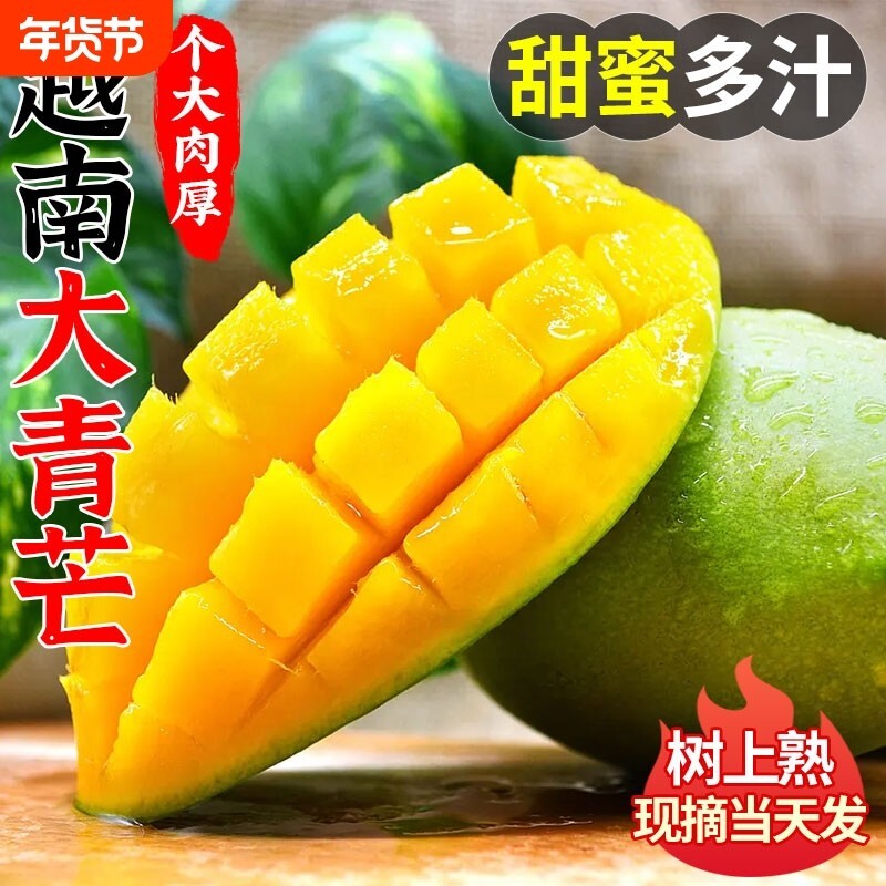 越南青芒  现摘现发新鲜酸脆生吃芒果当季水果芒果芽广西青芒果