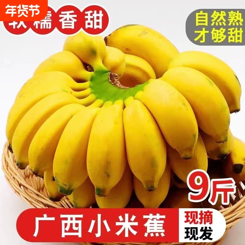 正宗皇帝苹果广西小米新鲜水果当季水果自然熟 整箱批发甜糯香蕉,水产肉类/新鲜蔬果/熟食,香蕉,淘宝优惠券,粉丝福利购,淘宝优惠卷