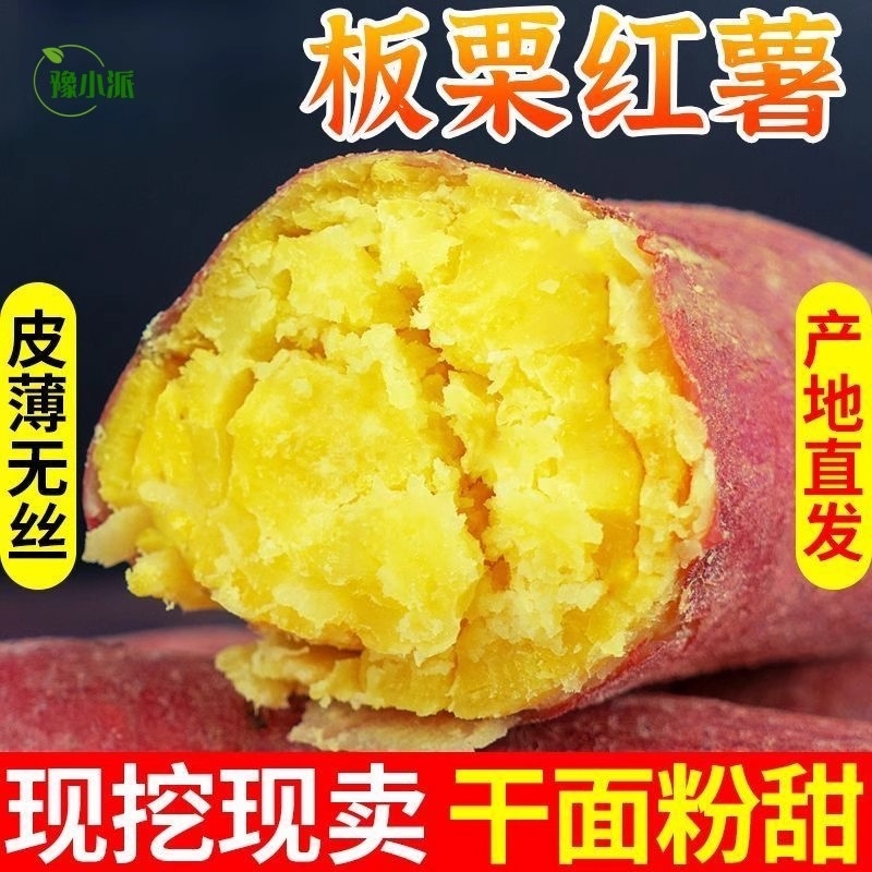 板栗红薯新鲜现挖栗子番薯黄番薯黄心板栗农家自种粉糯香地瓜