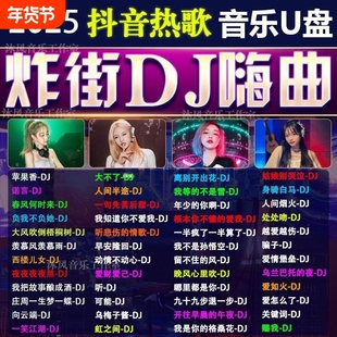 2025重低音DJ舞曲车载音乐u盘抖音新歌中文热门dj劲爆嗨曲MP4优盘