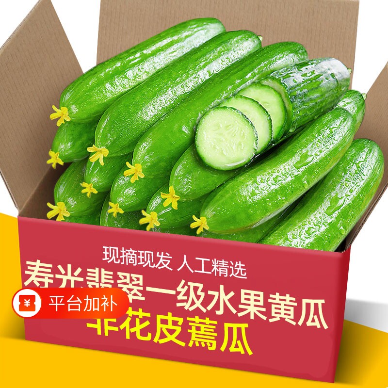 正宗荷兰一级精品水果黄瓜新鲜小黄瓜5斤小青瓜蔬菜山东旱生吃