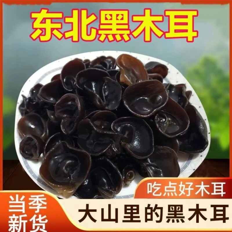 正宗东北黑木耳精选干货小碗耳长白山椴木秋木耳批发无干燥剂源头