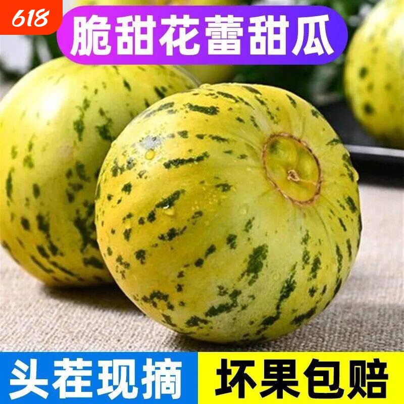 八里香花姑娘香瓜脆甜多汁新鲜现摘整箱应季时令孕妇水果花蕾甜瓜
