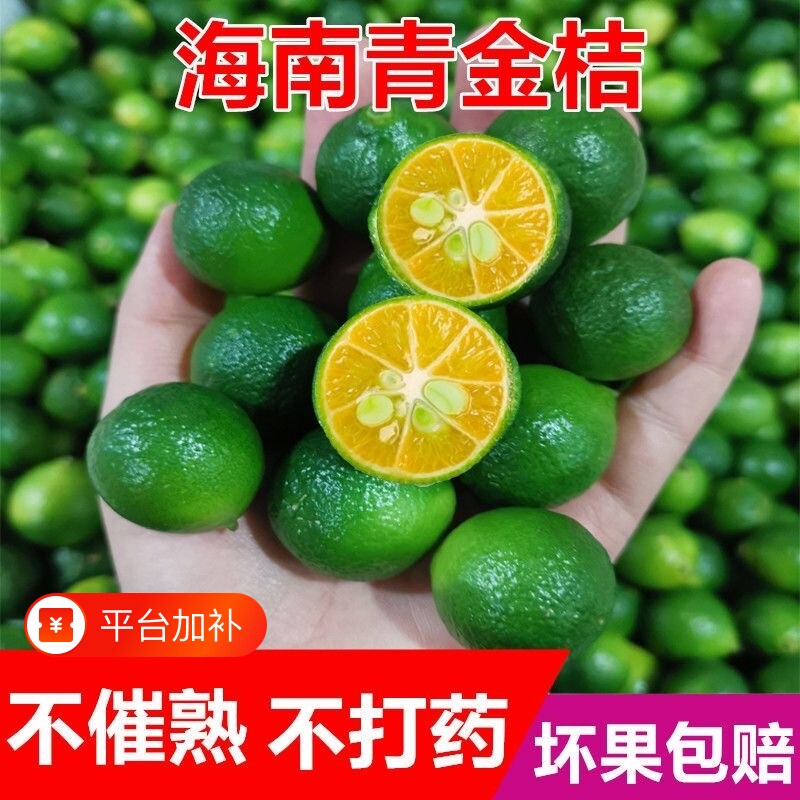 新鲜水果青金桔小青桔小金桔奶茶店使用鲜果酸桔酸青橘酸青桔爆汁