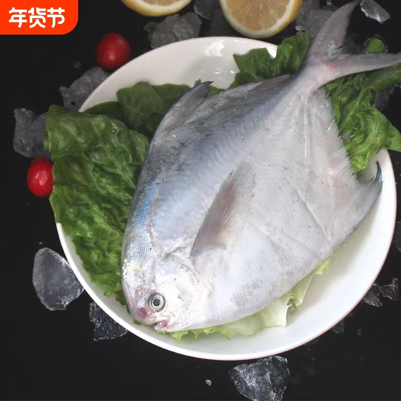 小银鲳鱼新鲜海鲜水产深海银鲳鱼昌鱼冷冻白鲳鱼平鱼鳊鱼包邮,水产肉类/新鲜蔬果/熟食,鲳鱼,淘宝优惠券,粉丝福利购,淘宝优惠卷