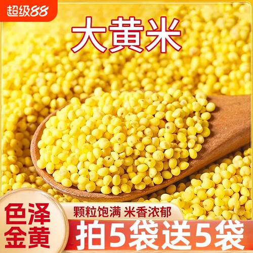 大黄米新米250g粘糯包粽子农家粗粮杂粮家用煮粥大黄米粘米袋装