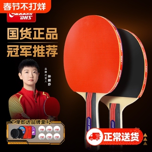 红双喜官方正品乒乓球拍儿童学生专业初学训练单双拍横拍直拍套装