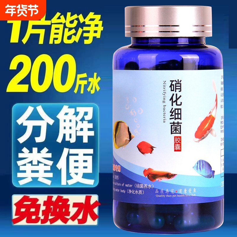 硝化细菌鱼缸净水剂养鱼用品水族鱼清澈剂水质观赏鱼分解粪便活菌,宠物/宠物食品及用品,硝化细菌,淘宝优惠券,粉丝福利购,淘宝优惠卷