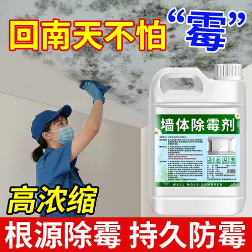 墙体除霉剂墙面防霉除霉菌清洁剂