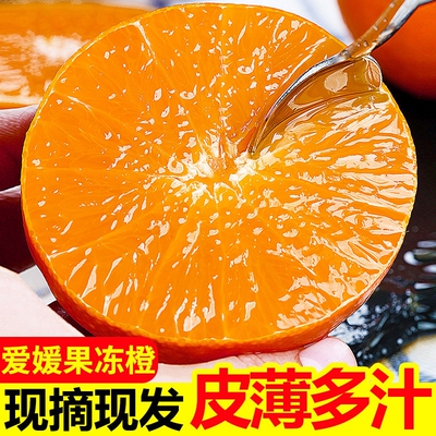 正宗四川爱媛38号果冻橙新鲜应当季孕妇水果冰糖橙子眉山产地现摘