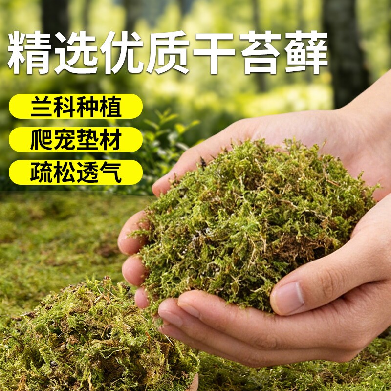 青苔水苔蝴蝶兰专用土兰花营养土石斛兰植料盆栽种植土干苔藓疏松