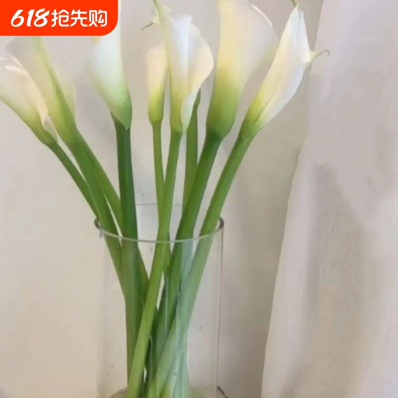 国产马蹄莲鲜花速递 上海直发江浙沪皖2扎顺丰包邮家用 婚礼 酒店