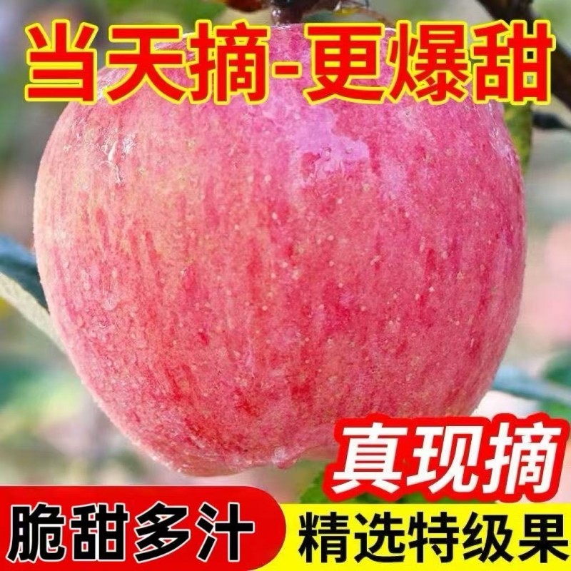 正宗山西冰糖心丑苹果新鲜红富士水果脆甜苹果当季新鲜水果整箱