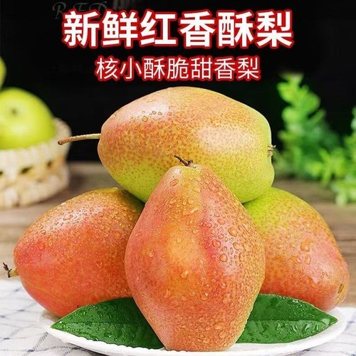 正宗香梨新鲜红香酥梨脆甜梨子孕妇水果当季酥梨小香梨薄皮