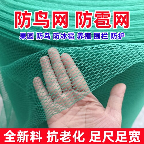 防鸟网果园用尼龙网|千人加购