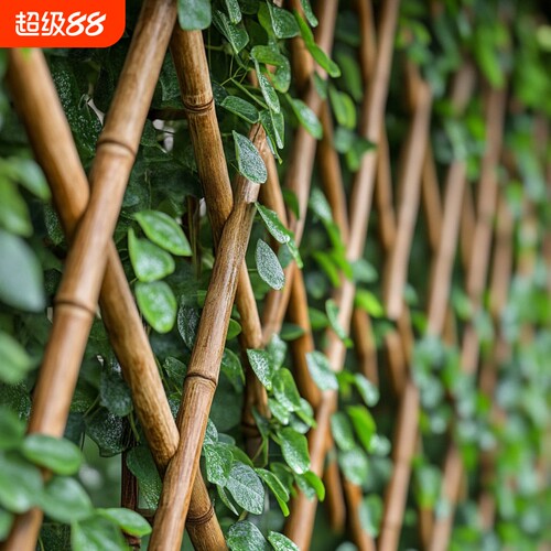 竹竿菜园搭架竹子杆角架杆子菜架竹篱笆栅栏围栏黄瓜爬藤架葡萄架