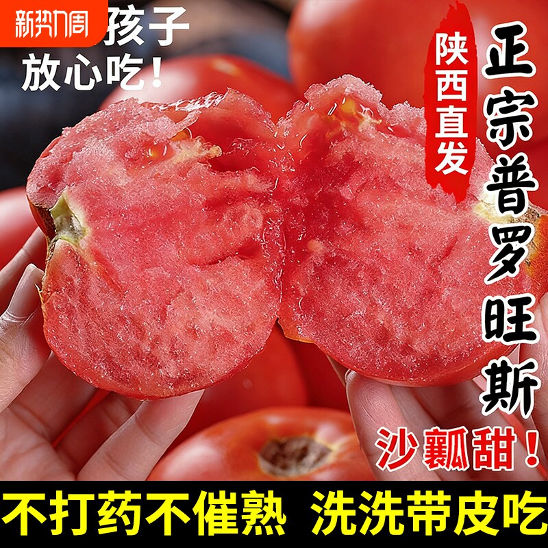 陕西泾阳普罗旺斯沙瓤西红柿新鲜自然熟当季孕妇水果生吃番茄蔬菜