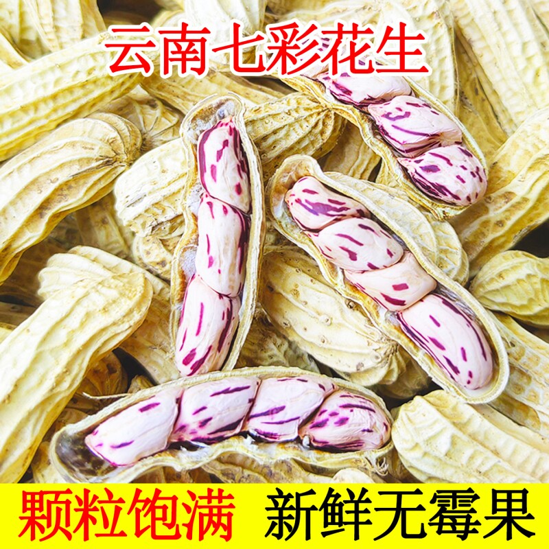 2025新货七彩花生云南特产水煮咸干五彩花生米晒干带壳健康新鲜