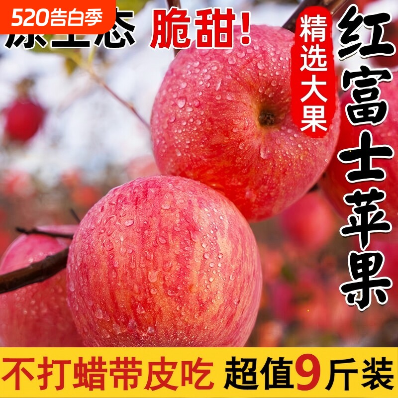 正宗山东苹果脆甜红富士苹果当季新鲜水果整箱批发大果采摘年货节