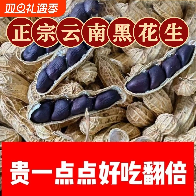 云南黑花生普洱2025晒干新货种带壳花生米七彩新鲜种子原味休闲
