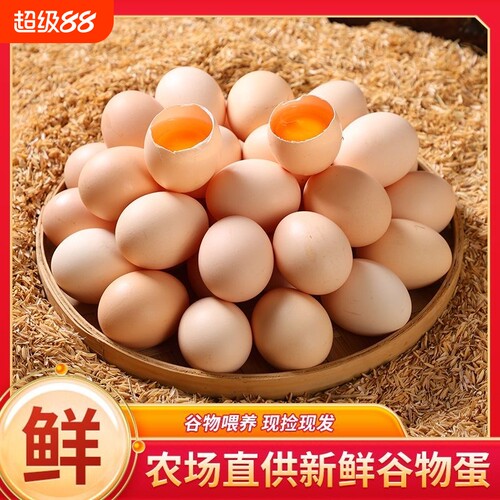谷饲喂养鸡蛋鲜鸡蛋甄选新鲜农场大个月子蛋早餐好吃食用谷物精选