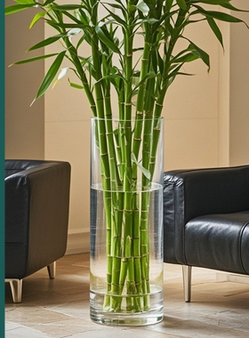 富贵竹专用花瓶透明大号特大号落地高4050cm大口径塑料仿亚克力大