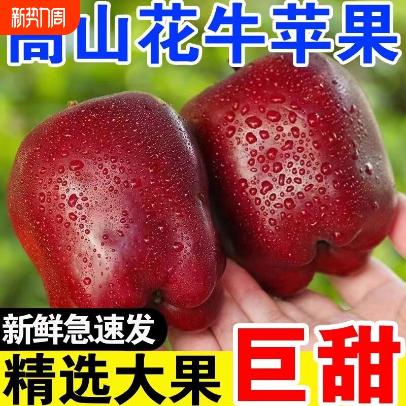 甘肃花牛苹果新鲜水果当季平果粉面婴儿老人苹果整箱天水生鲜