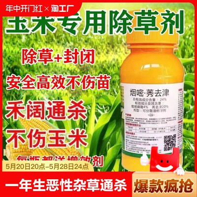 烟嘧莠去津玉米田一年生杂草玉米苗后除草剂玉米专用没草剂通用