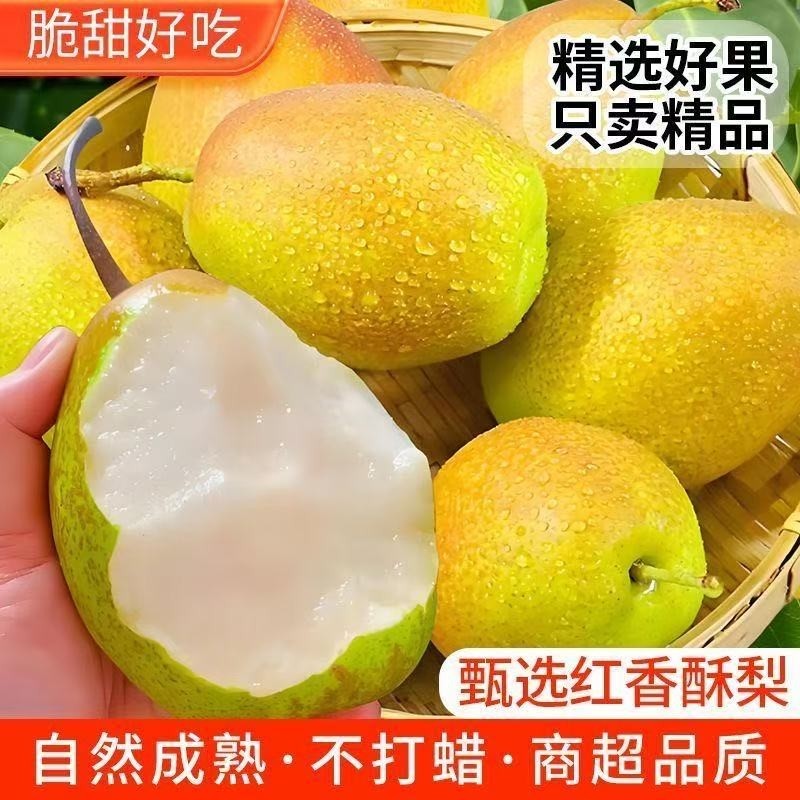 脆甜正宗红香酥梨新鲜酥梨应季水果香酥当季梨子整箱包邮薄皮批发,水产肉类/新鲜蔬果/熟食,梨,淘宝优惠券,粉丝福利购,淘宝优惠卷