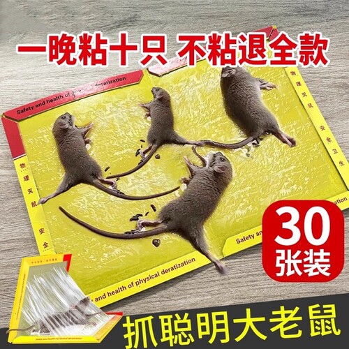 老鼠粘强力粘鼠板抓大老鼠贴夹扑捉灭鼠胶沾正品家用捕鼠神器超强