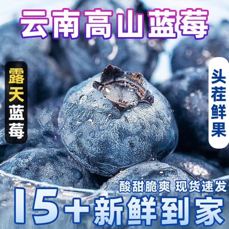 正宗云南花香蓝莓高山生态种植甜酸适口果香现摘现发坏果鲜果酸甜