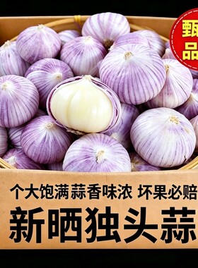 独头蒜2026新晒干紫皮大头蒜干蒜泡蒜腊八蒜头独蒜糖蒜当季新鲜