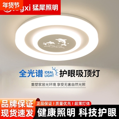 led圆形吸顶灯客厅卧室儿童房间灯简约护眼灯灯具主灯2025新款