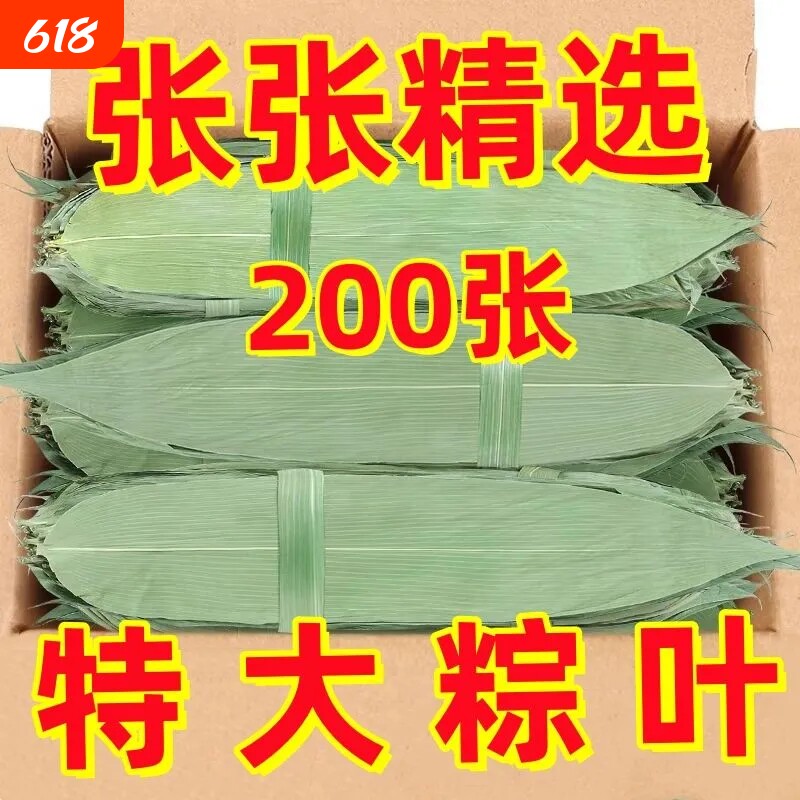 端午粽叶新鲜粽子叶特大号包粽子专用的叶子干叶棕叶商用现摘真空