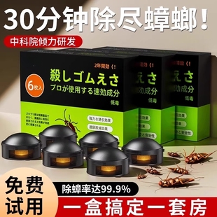 饭店非无毒一全窝餐厅端诱饵强除杀有效剂 蟑螂药家用神器旗舰正品