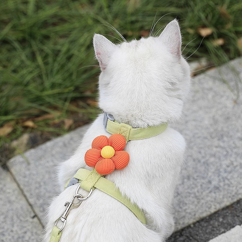 花朵猫咪牵引绳工字型宠物背带小型犬狗狗绳遛猫绳外出可调节